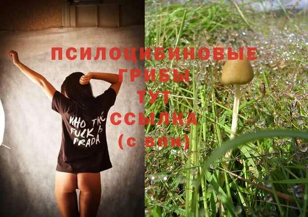 таблы Богданович