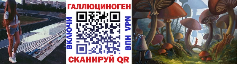 Галлюциногенные грибы Psilocybine cubensis  даркнет сайт  Константиновск 